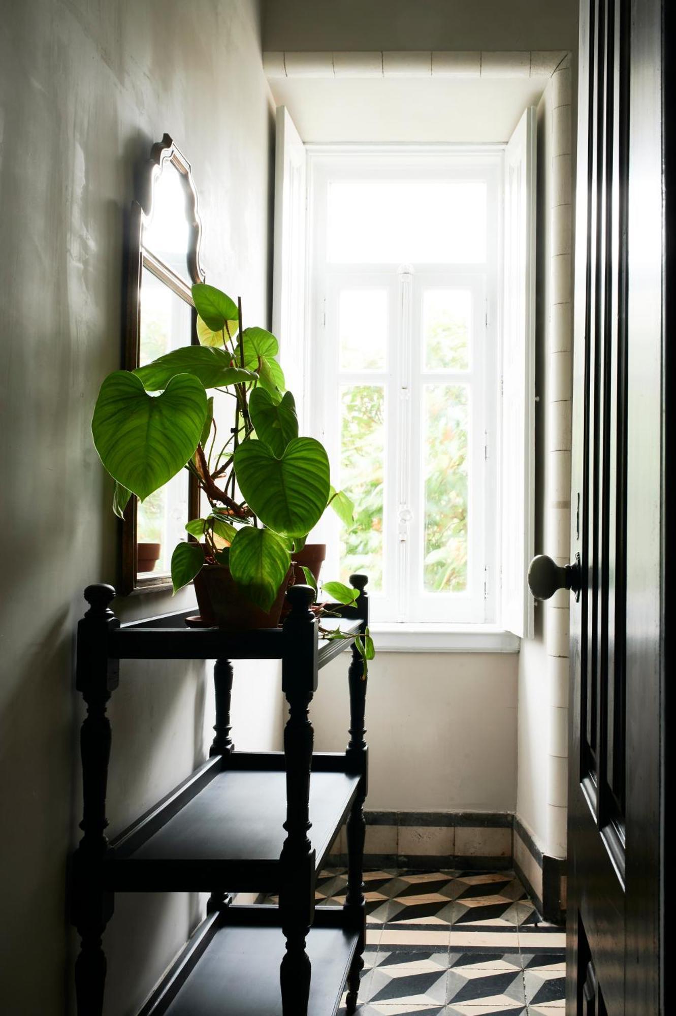 Vila Branca Guesthouse - Palacete ฟิเกราดาฟอซ ภายนอก รูปภาพ